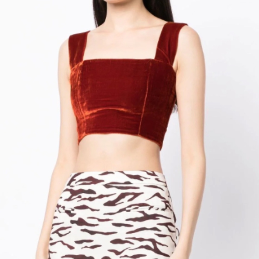 Reformation Giulia Sleeveless Velvet Top, Size 12 - NEVER WORN